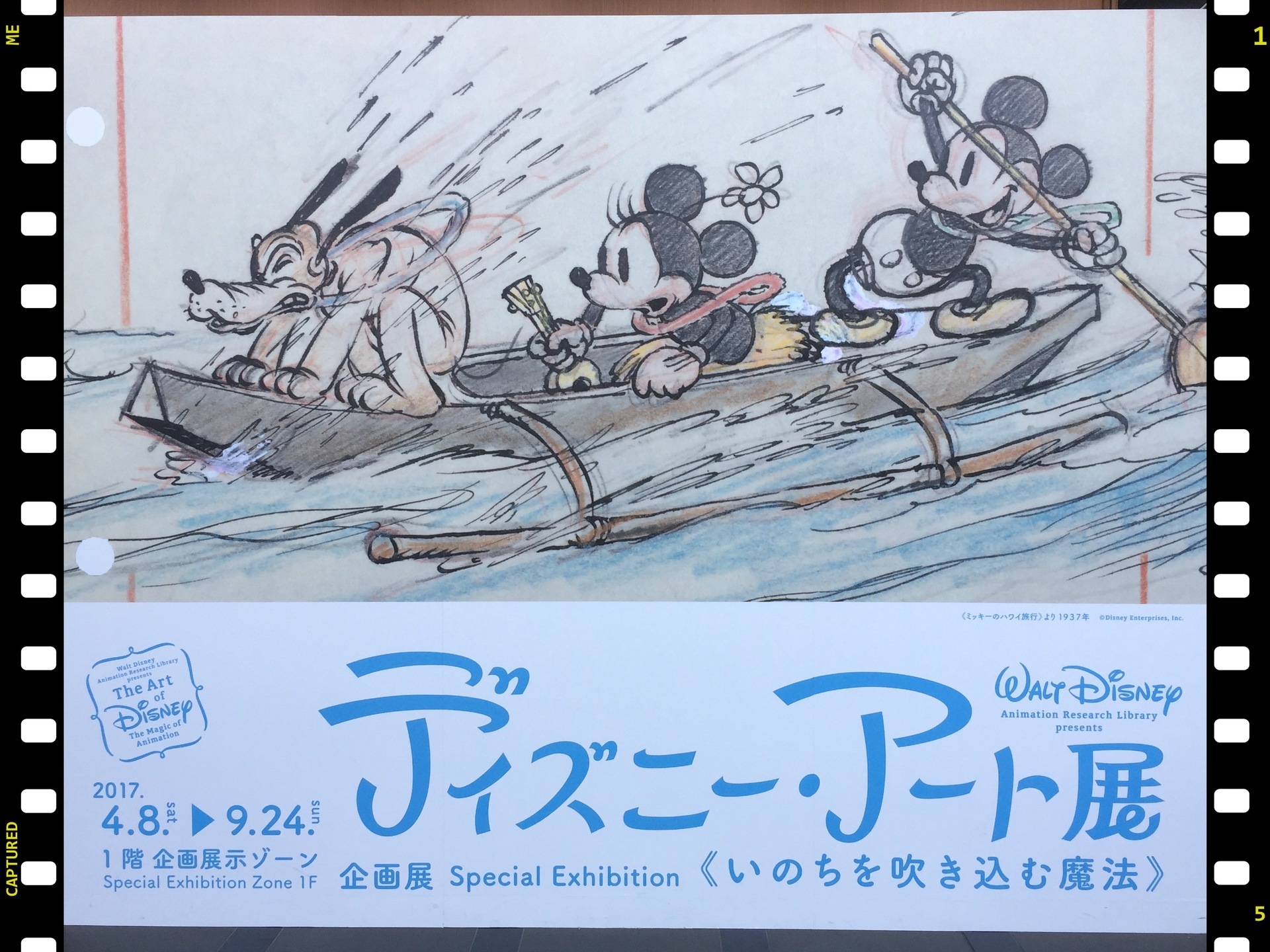 復刻版 蒸気船ウィリー 夏祭り17 ディズニートミカと